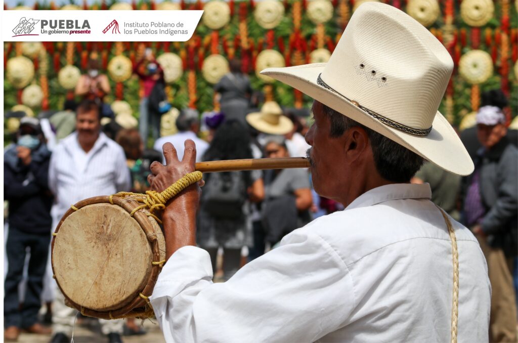 Participación de pueblos originarios