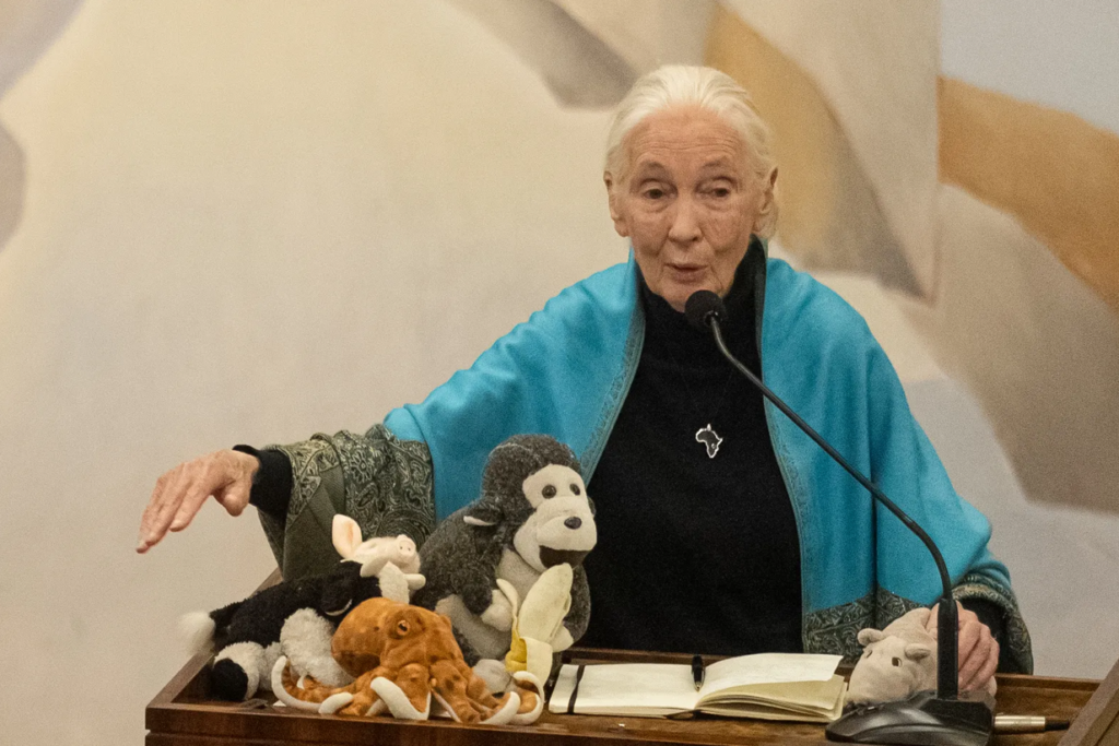 Jane Goodall