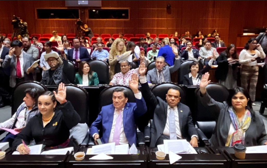 Puntos Constitucionales de la Cámara de Diputados