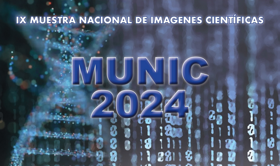 Munic 2024