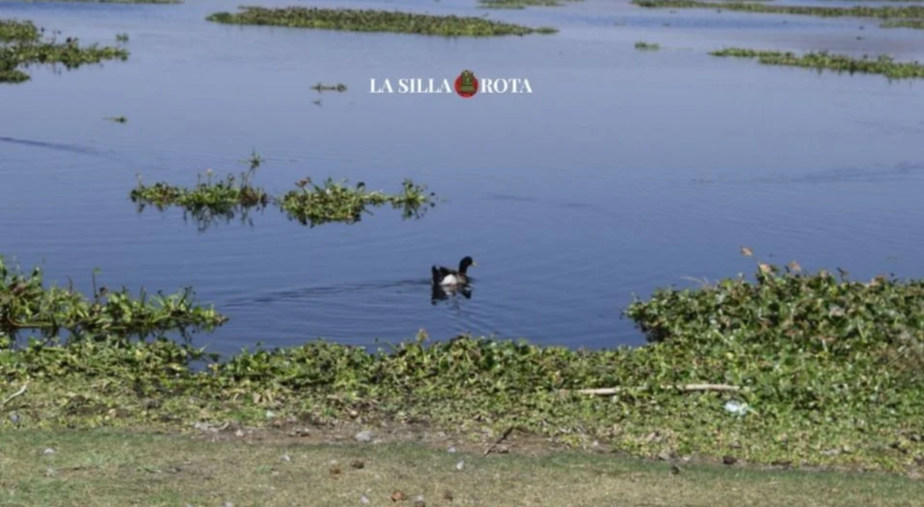 Presa de Valsequillo