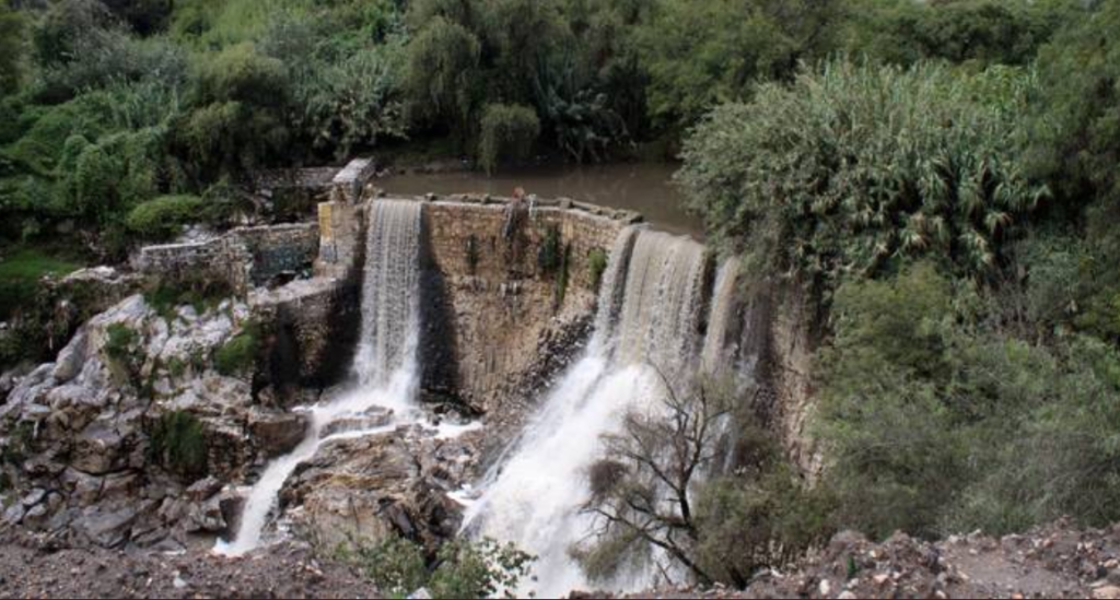 Contaminantes en el río Alseseca 