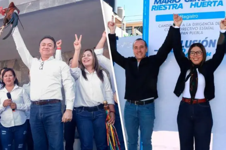 elecciones internas PAN