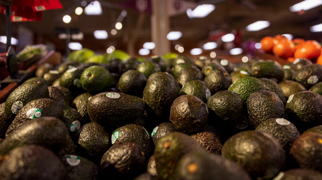 Aguacates provenientes de Michoacán