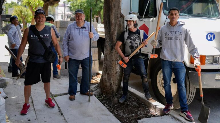 Un 'ejército' De Activistas "libera" árboles Asfixiados Por El Hormigón ...