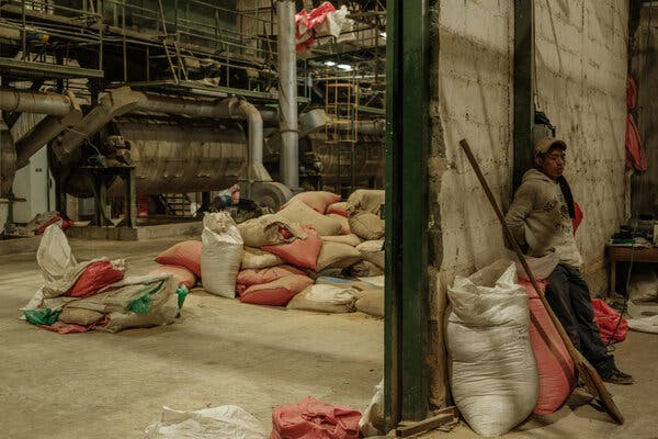 Un trabajador se apoya en la pared de la Finca El Puente, con la maquinaria y los sacos de café apilados al otro lado de la pared.