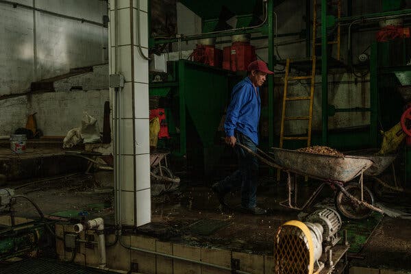 Un trabajador mueve granos de café en una carretilla en una zona industrial de la plantación Finca El Puente, en Honduras.