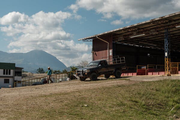 Un hombre baja por una pendiente en una granja. Hay una camioneta y una montaña a lo lejos.
