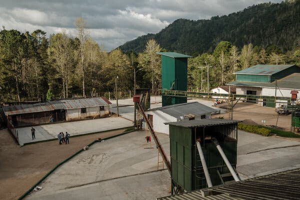 Las dependencias de una plantación de café en Marcala, Honduras.