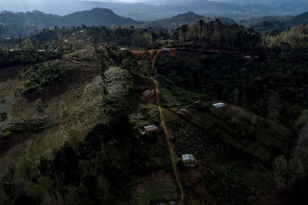 Vista de las plantaciones de café en las montañas del suroeste de Honduras.