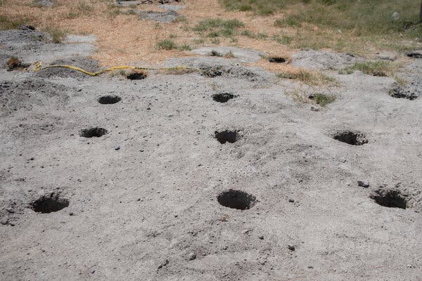 Tierra gris con hileras de agujeros espaciados uniformemente.