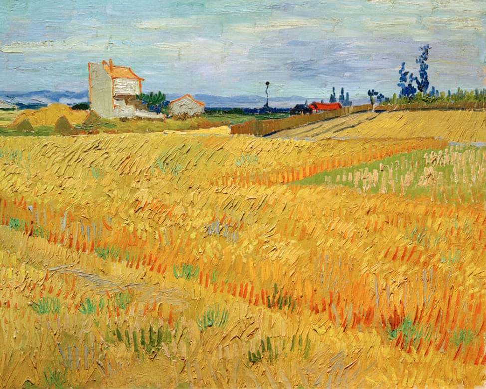 Campo de trigo, 1888, Vincent Van Gogh
