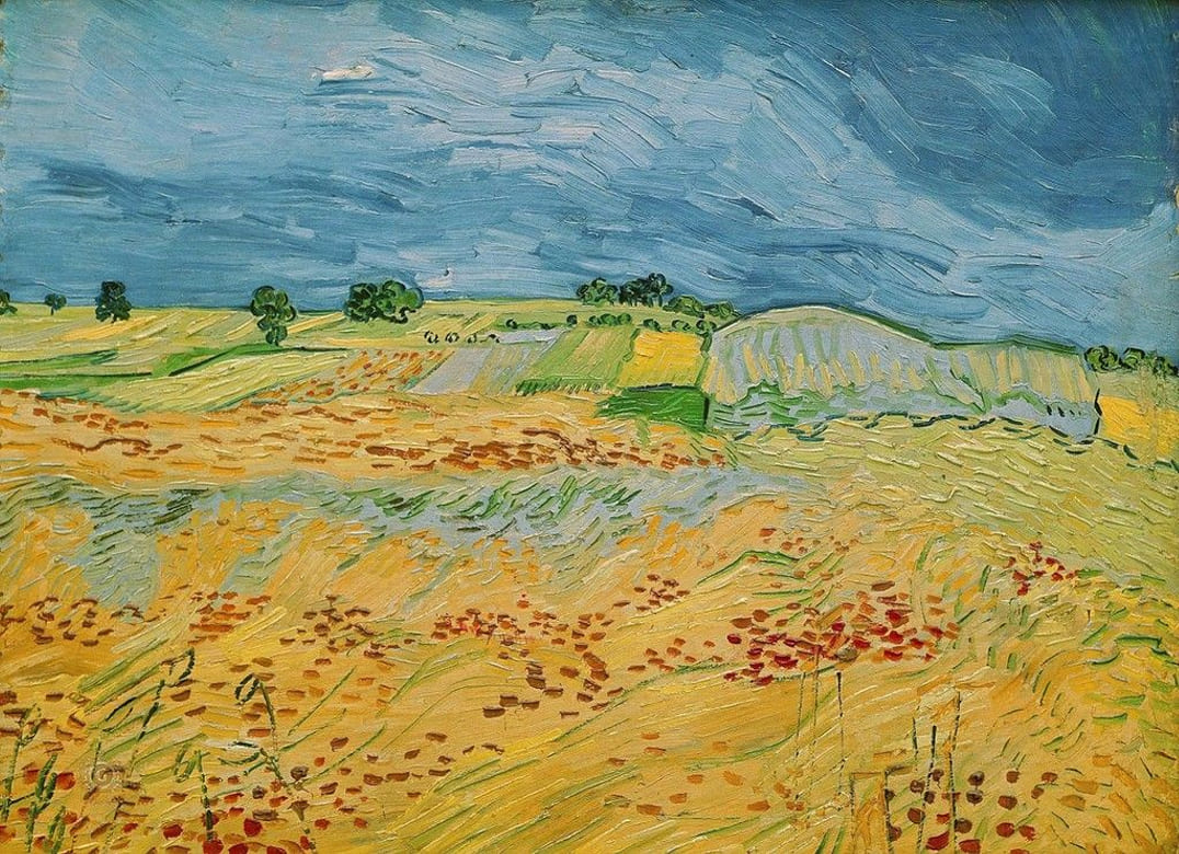 Campo, 1890, Vincent Van Gogh