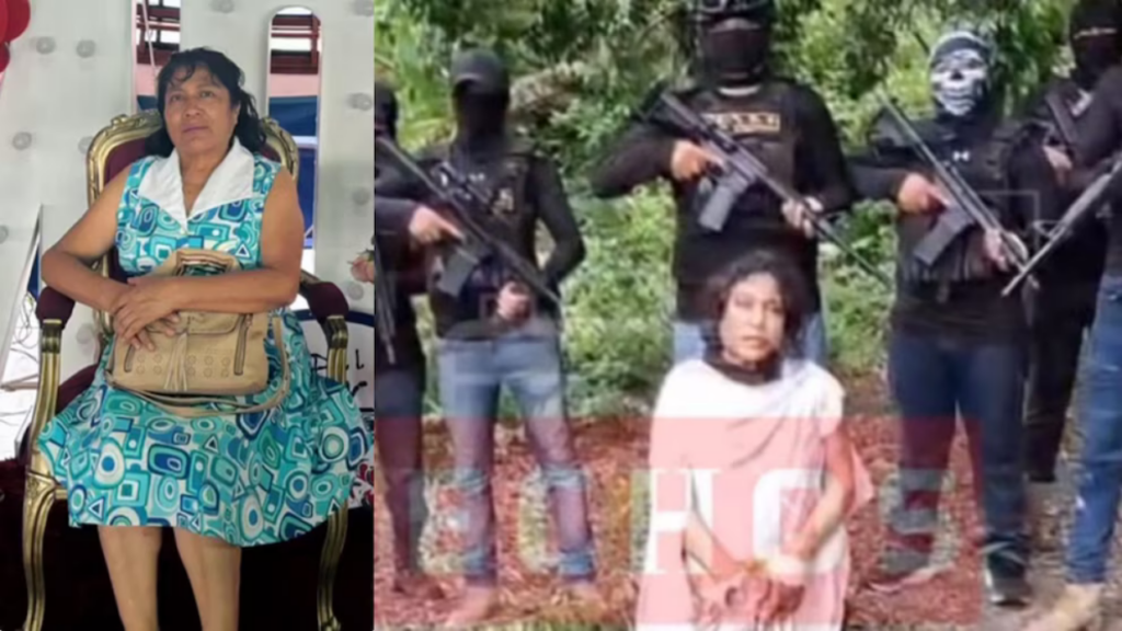 Irma Hernández Cruz, de 62 años, fue interceptada por un grupo armado cuando conducía un taxi; familiares y autoridades intensifican búsqueda sin avances hasta ahora. (X/@HugoGallardoSG)