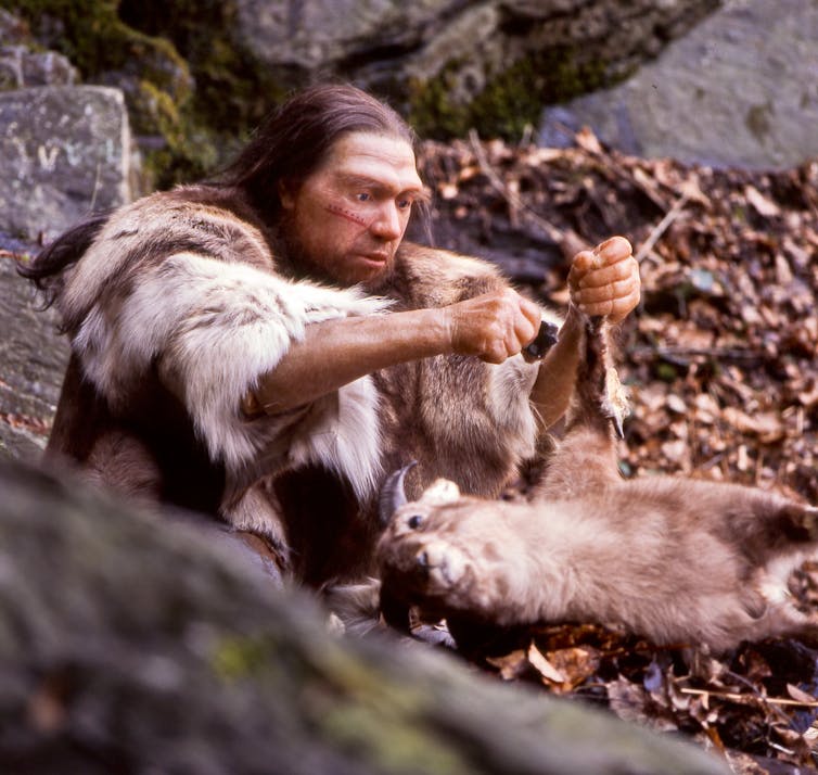 Un neandertal vestido con piel de animal descuartizando una cabra con una herramienta de piedra