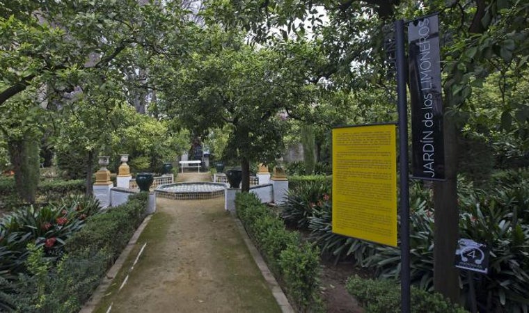 Jardín de los limoneros del Palacio de las Dueñas de Sevilla. donde nació Antonio Machado