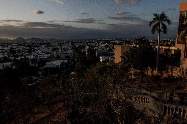 Vista aérea de una ciudad con palmeras al atardecer. Al fondo se ven las montañas.