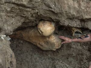 Un acantilado se derrumba y saca a relucir el fémur de un gigante que vivió hace 400.000 años | El Confidencia