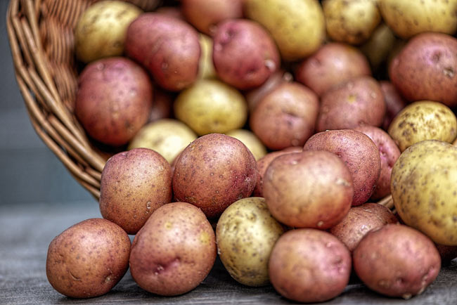 Hay más de 5.000 variedades de patatas en el mundo